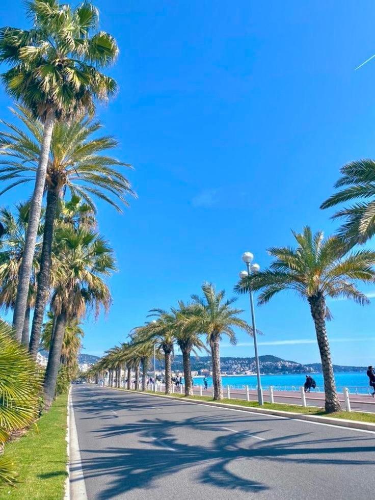 Appartamento Tres Cosy, En Plein Centre-ville, Proximite Plage, Centre Nizza